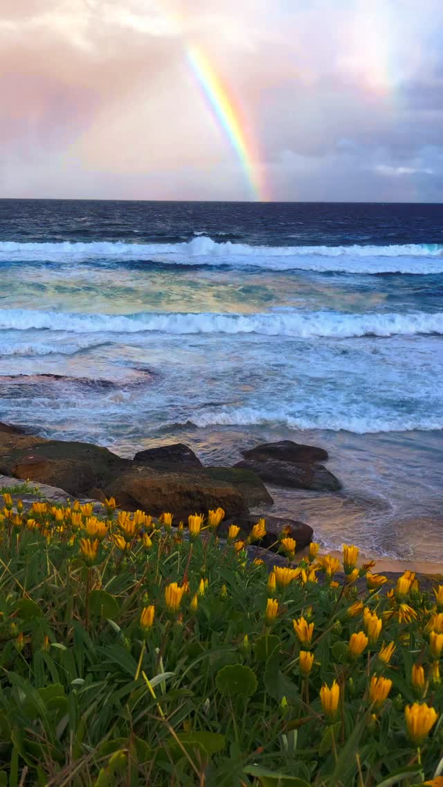 Ocean Therapy 🩵🌈🌊