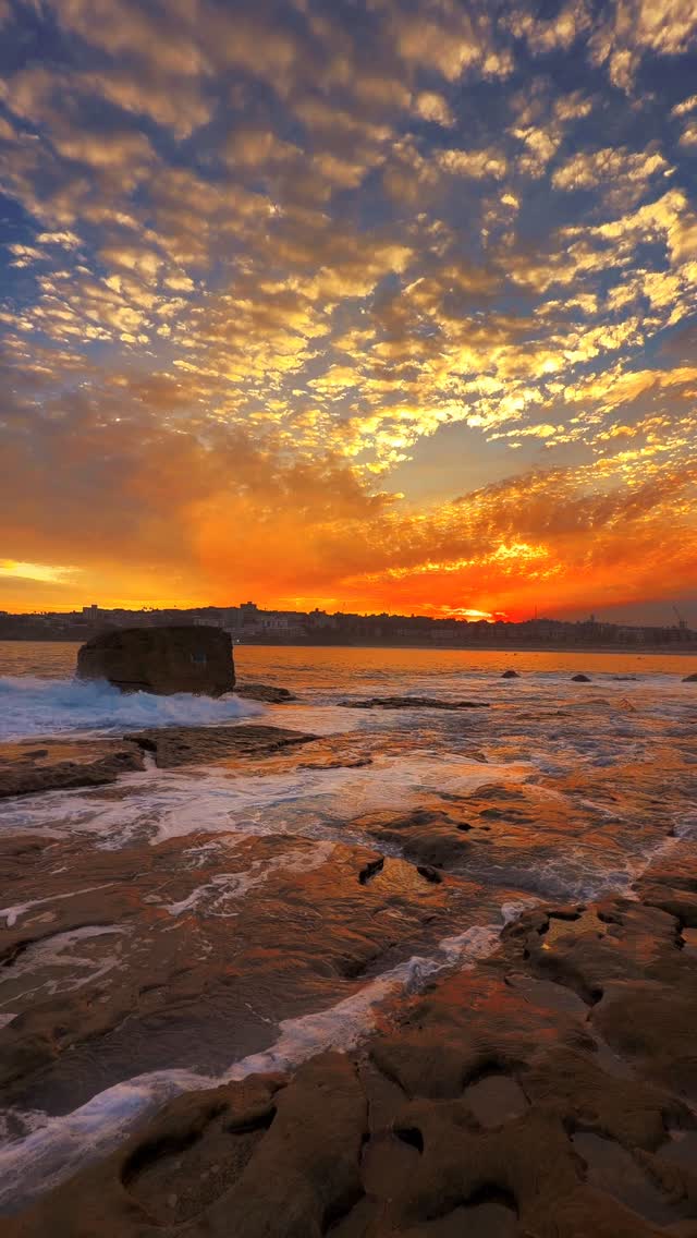 When Bondi turns gold 💛