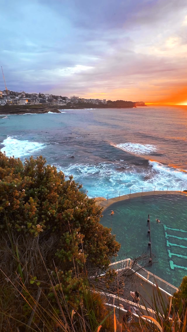 Daily Sunrise at Bronte Beach 💛
