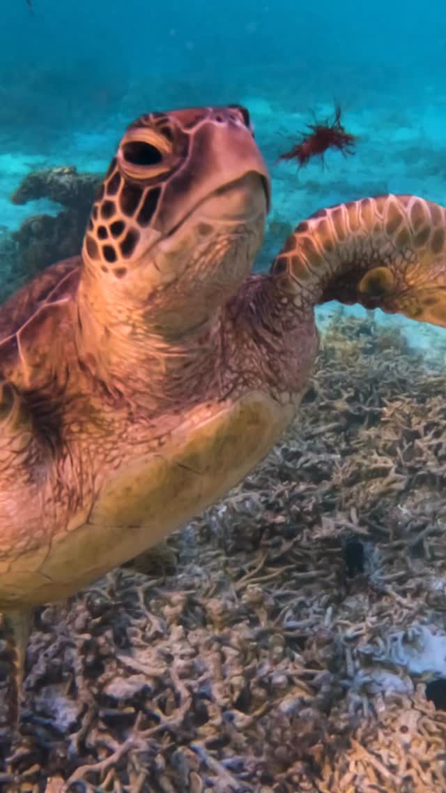 Time slows when they pass by 🩵