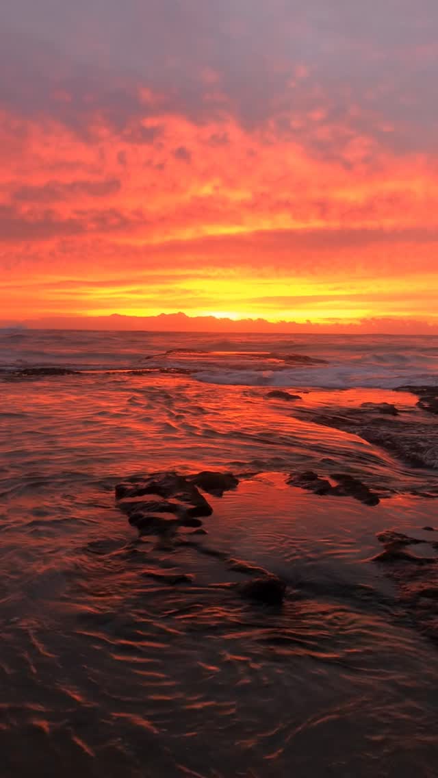 The tide steps back and leaves magic behind 🔥