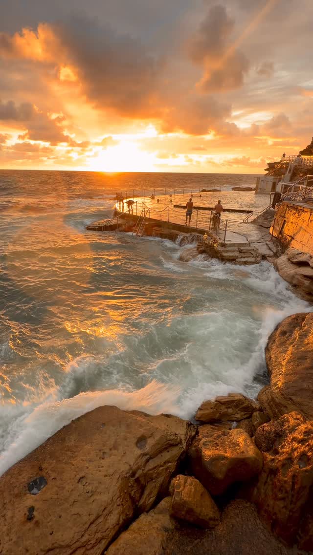 A little piece of Bronte every day 💛