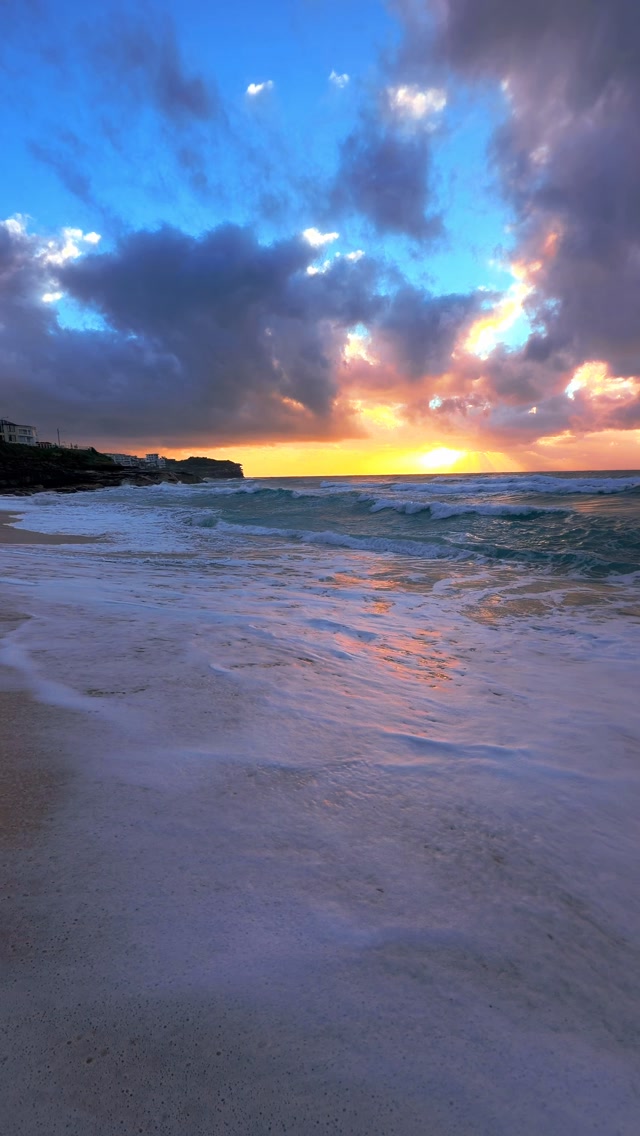A little piece of Bronte every day 💛