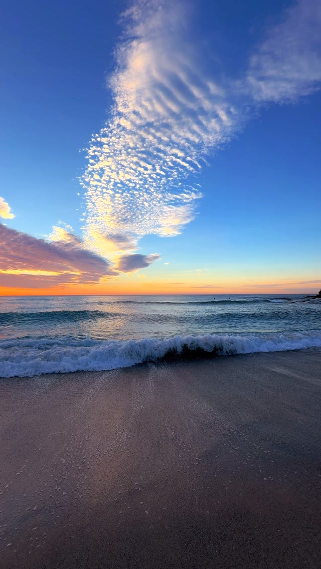 A little piece of Bronte every day 💛