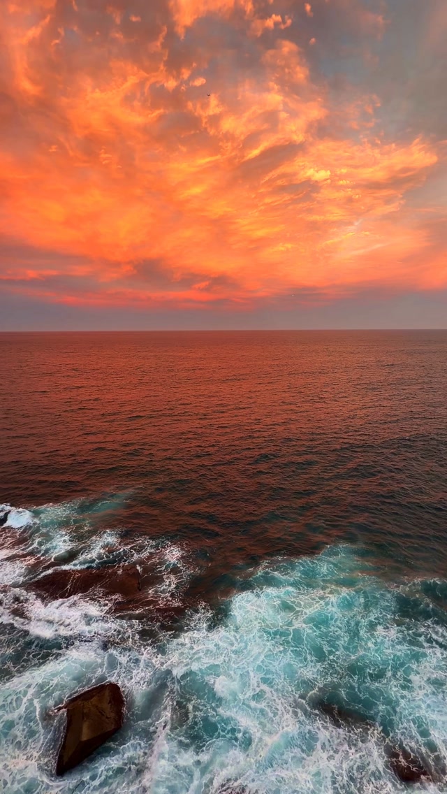 No matter how many times, Sydney sunsets never get old 🫶🏻