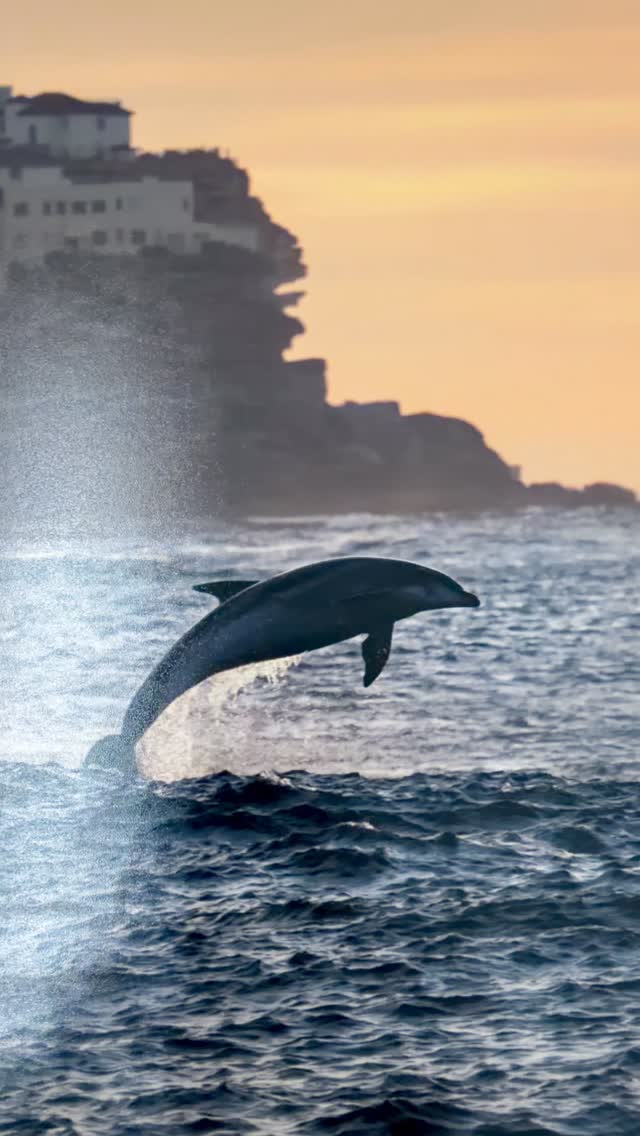 Fine Art Print, Recapture the Rapture

#bronte #sydney #bondi