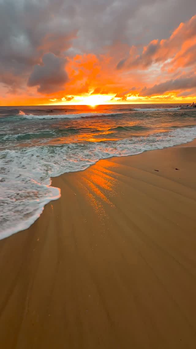 Daily Sunrise at Bronte Beach 🌅