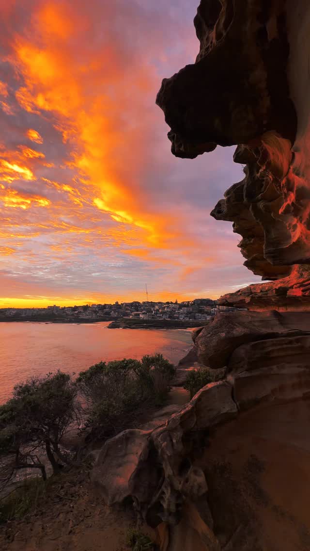 Starting the day the Aussie way 💛