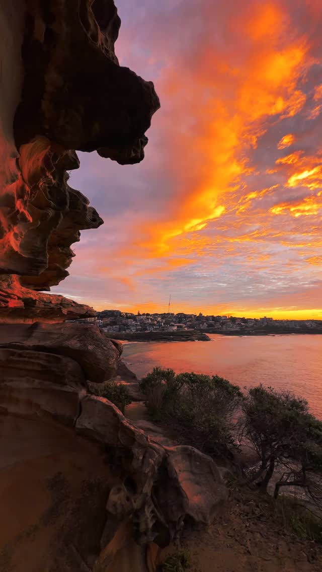 Without a doubt, this is one of the most epic views along Australia’s East Coast 💛