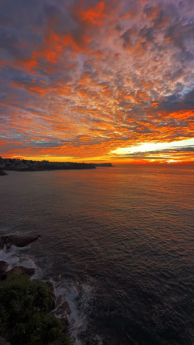 A little piece of Bronte every day 💛