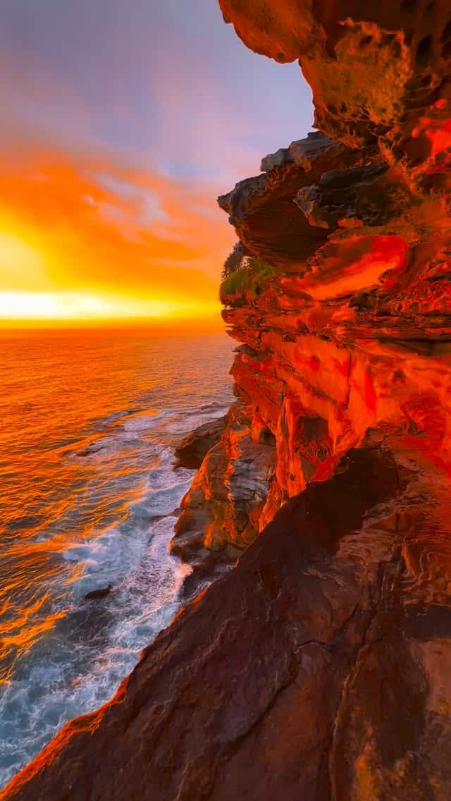 Good morning Sydney 💛