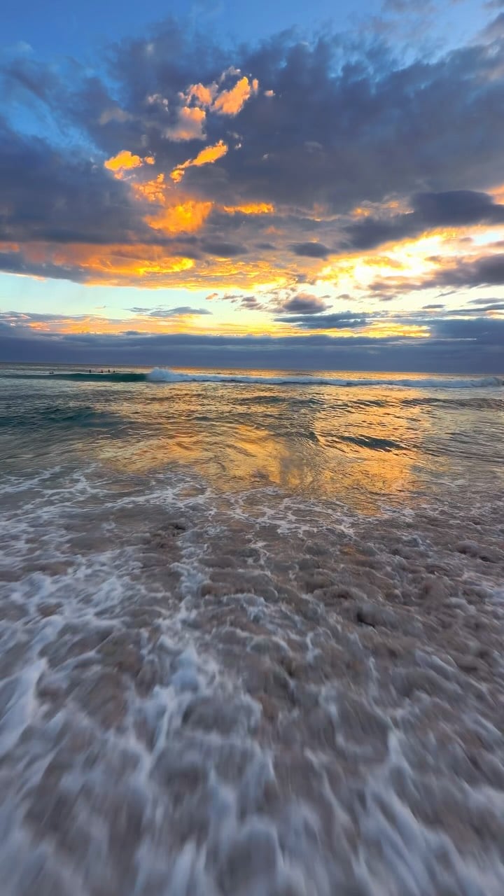 A little piece of Bronte every day 💛