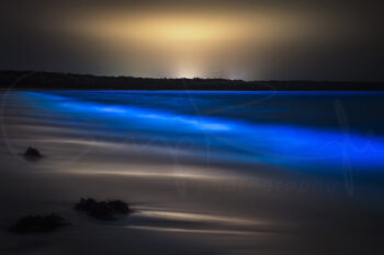 Bioluminescent waves glowing blue along the shore of Jervis Bay at night, NSW, Australia, fine art ocean photography.