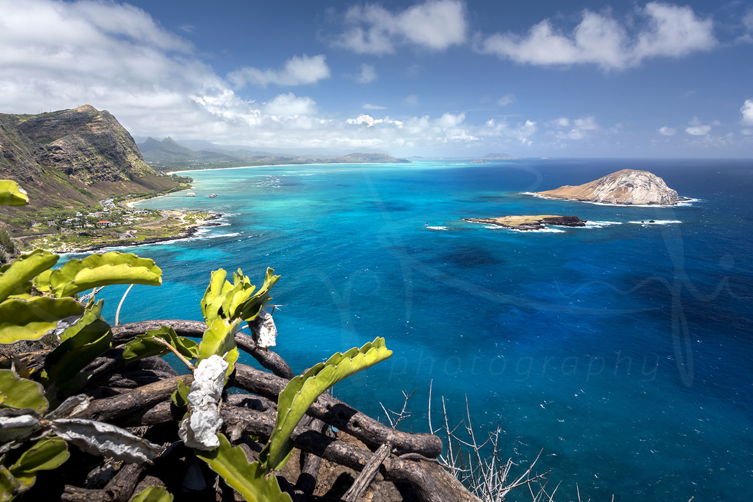 Panoramic coastal view from Makapuu Lighthouse Lookout, Oahu, Hawaii, overlooking turquoise Pacific Ocean and offshore islands.