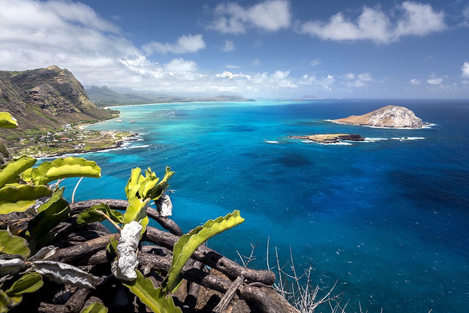 Moments from a Hawaiian dream—towering cliffs, lava-scarred lands, crystal-clear waters, and the quiet magic of the open ocean.