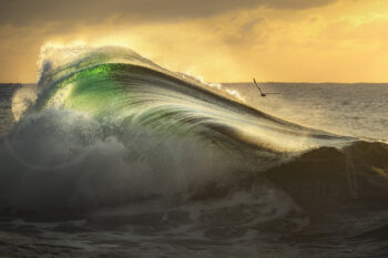 Breaking ocean wave glowing in golden sunrise light in New South Wales, Australia, fine art ocean photography.