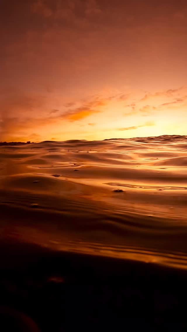 #bestsunrise  #exploreaustralia #bronte #Australia #BronteBeach #feelnewsydney #feelnsw #Bondi #bondibeach #ilovesydney #seeaustralia #sunrise #art #fineartphotography
#sunriselover #landscapephotography #seascapes  #discoverearth #moody #australianphotography #visualarts