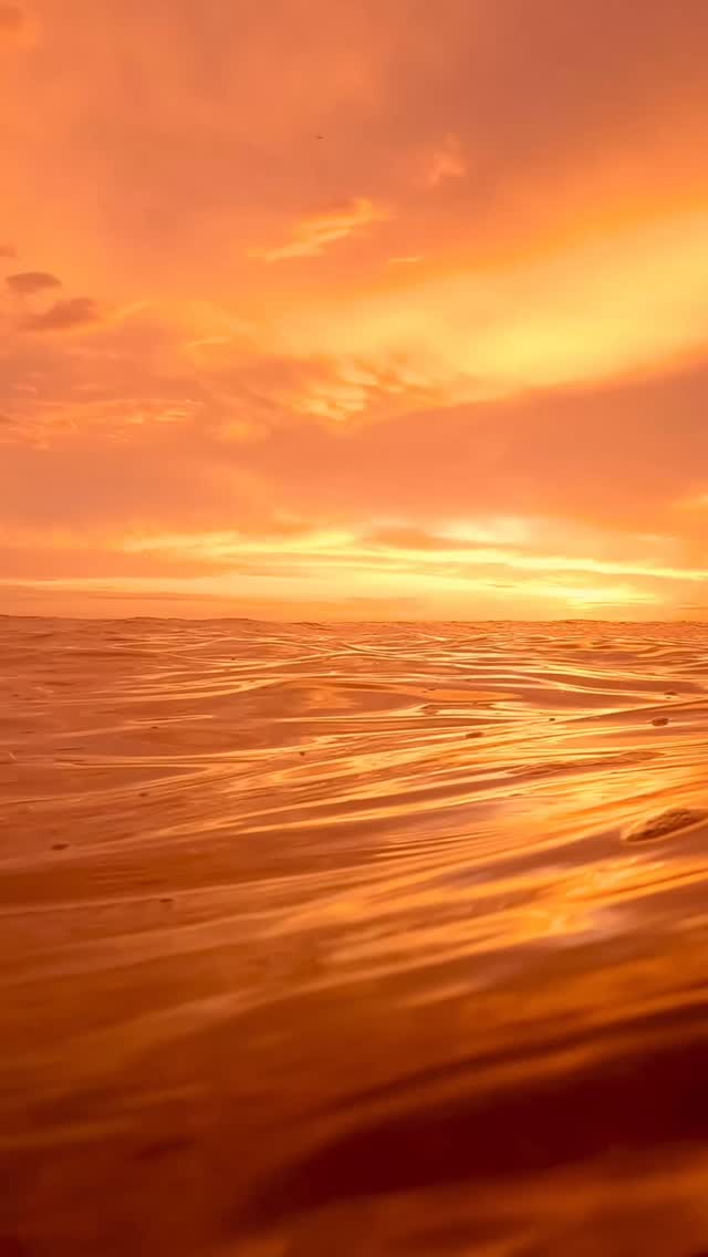 #bestsunrise  #exploreaustralia #bronte #Australia #BronteBeach #feelnewsydney #feelnsw #Bondi #bondibeach #ilovesydney #seeaustralia #sunrise #art #fineartphotography
#sunriselover #landscapephotography #seascapes  #discoverearth #moody #australianphotography #visualarts