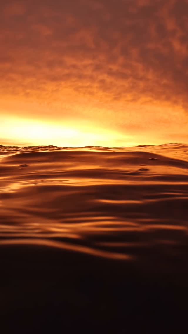 Dreamtime ✨

#oceanview #Australia #BronteBeach #sydneylife #sydney_insta 
#Bronte #fire #heaven #uniqueaustralia #sunriseoftheday #exploreaustralia #sunset #wavephotography #waveoftheday #seeaustralia #sunriselover #sunrise_and_sunsets #sunrisemadness #oceanart #Bondi #bondibeach #redlight #surfing 
#sunsetlovers #ocean #nature #beach #ilovesydney #SeeAustralia  #oceanlover