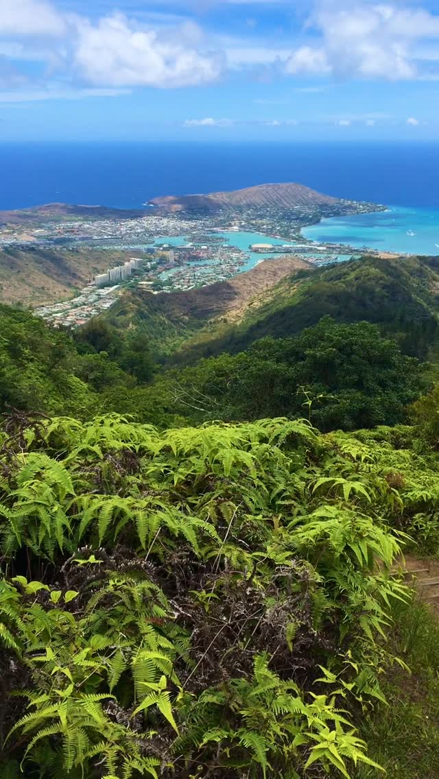 Kuli‘ou‘ou Ridge Hawaii 💙