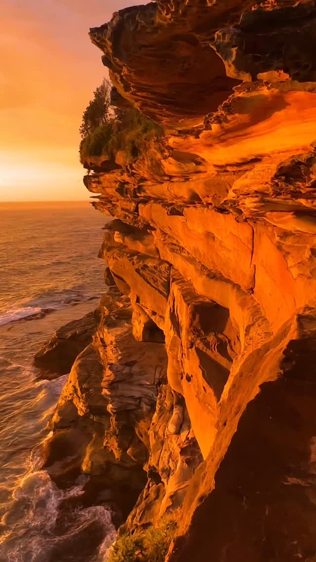 Daily Sunrise at Bronte 🌊