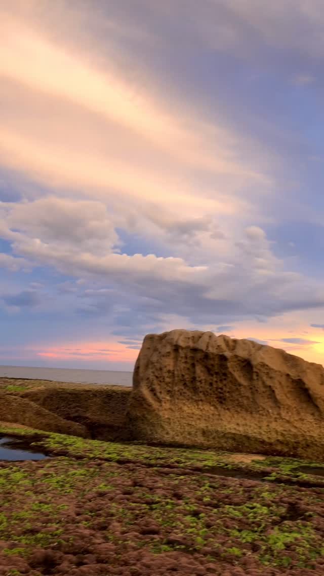 Sunset colours at Bondi Beach ✨