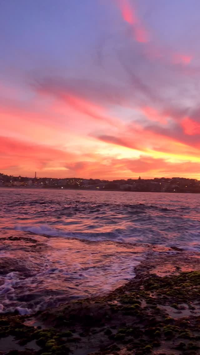 Bondi on fire 🔥