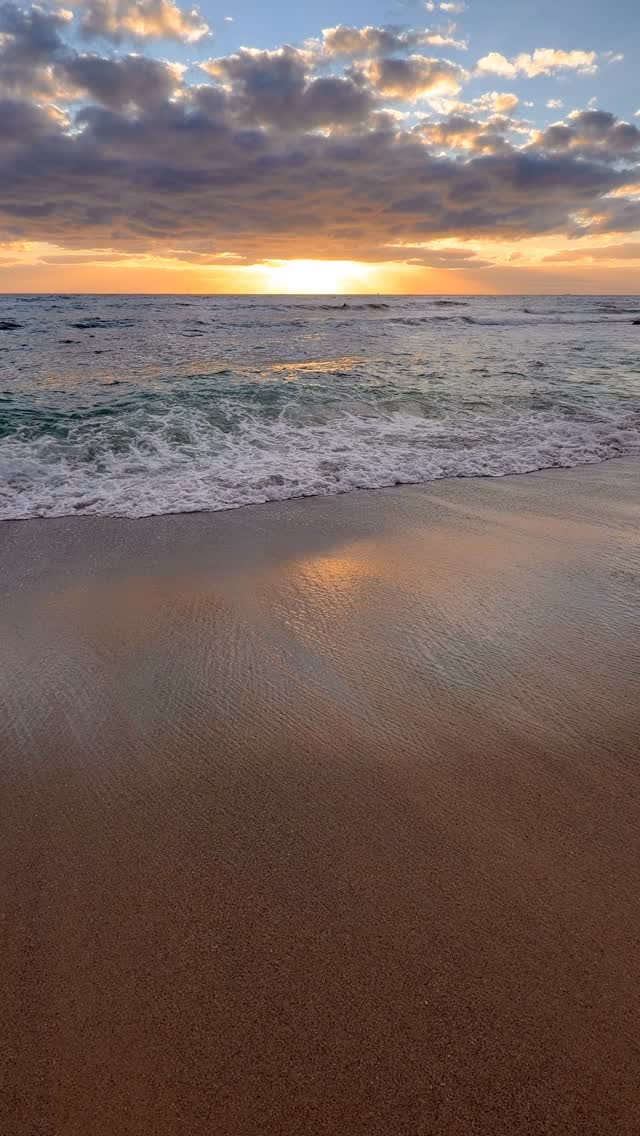 Daily Sunrise at Bronte 🌊
