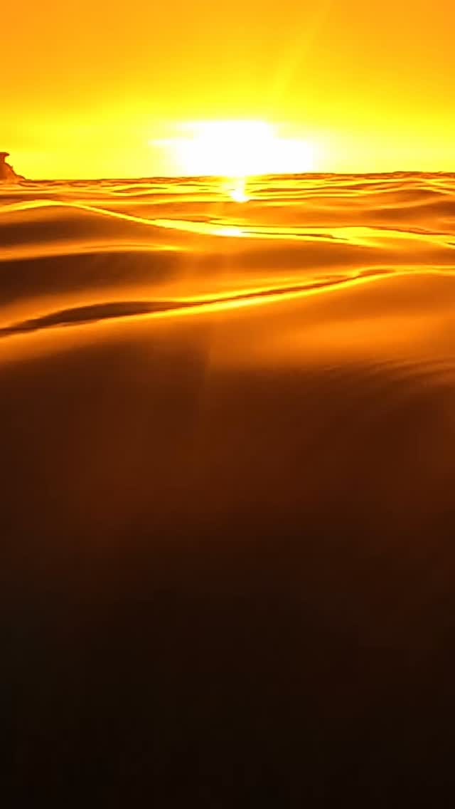 Daily Sunrise at Bronte Beach 🌅