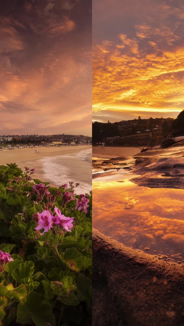 Bondi Beach vs Bronte Beach 🌅
Which is better?