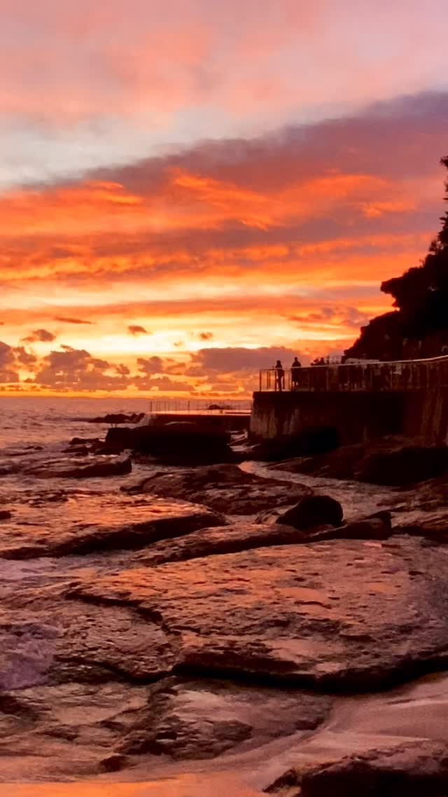 The best sunrise spot in Sydney 🔥

#Bronte #australia #sunrise