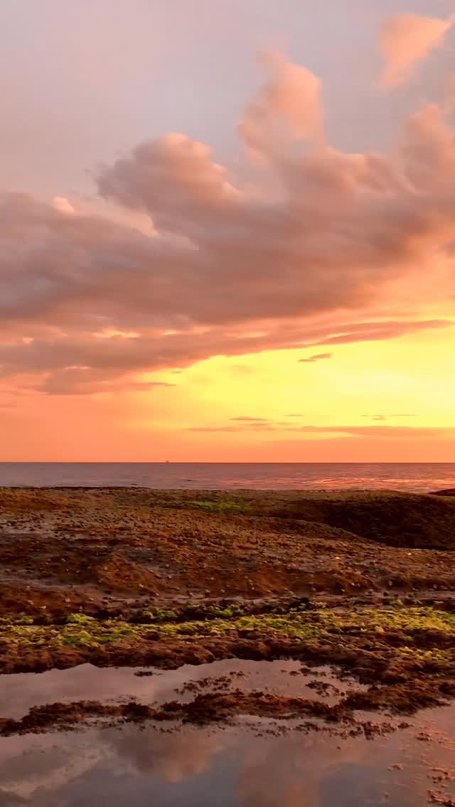 Sunset magic at Bondi Beach ✨
