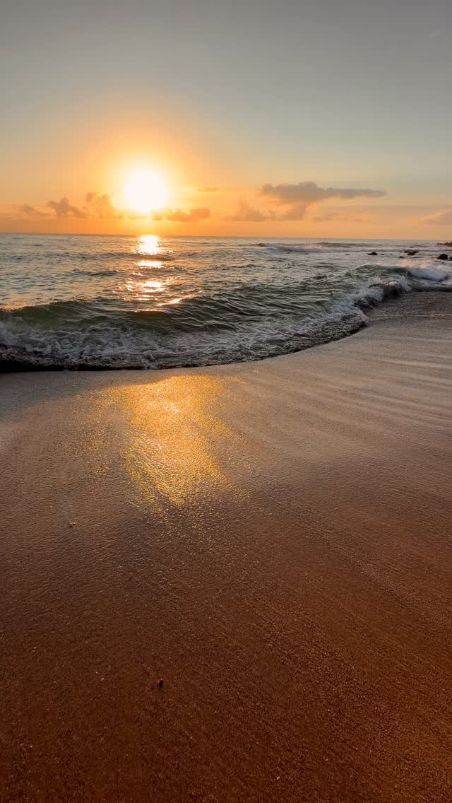 Ocean Therapy 💛

#brontebeach #seeaustralia