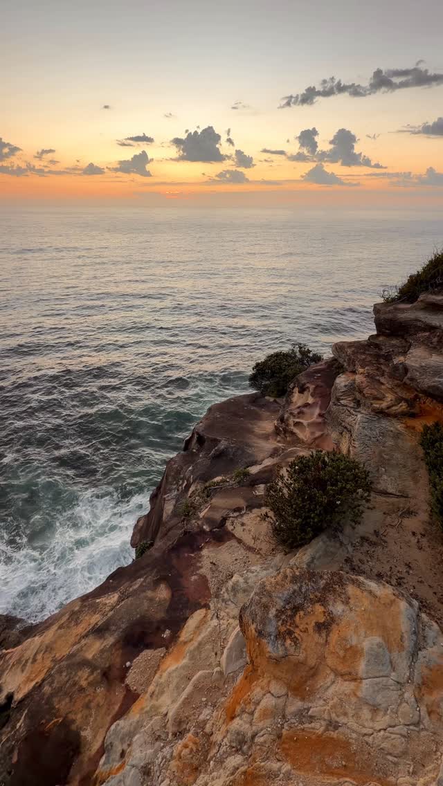 A little piece of Bronte every day 💛