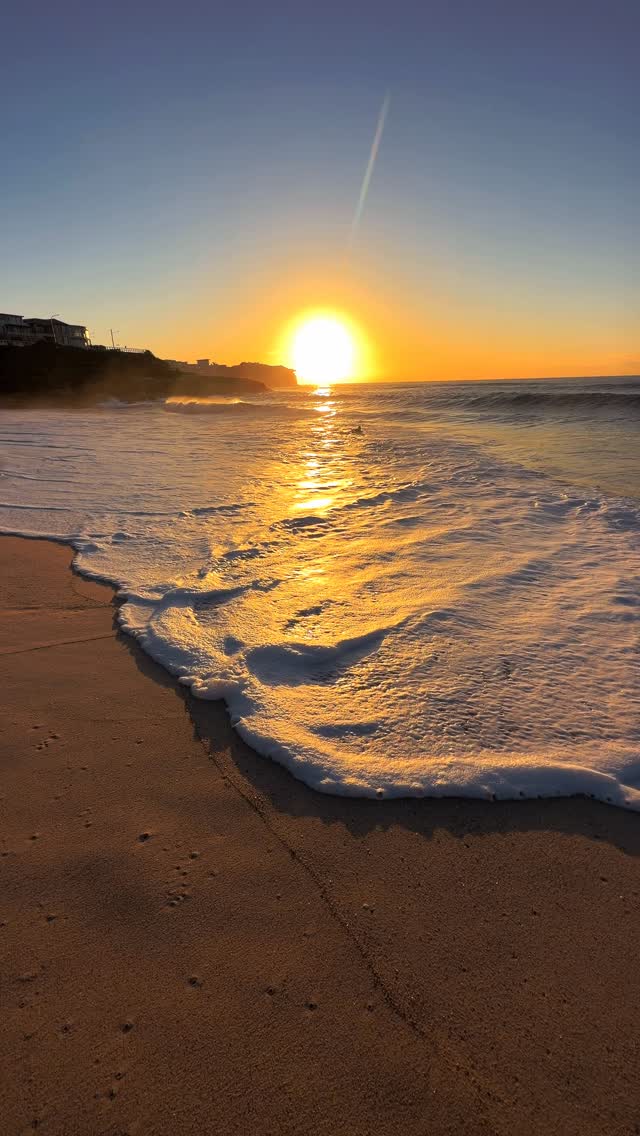 A little piece of Bronte every day 💛