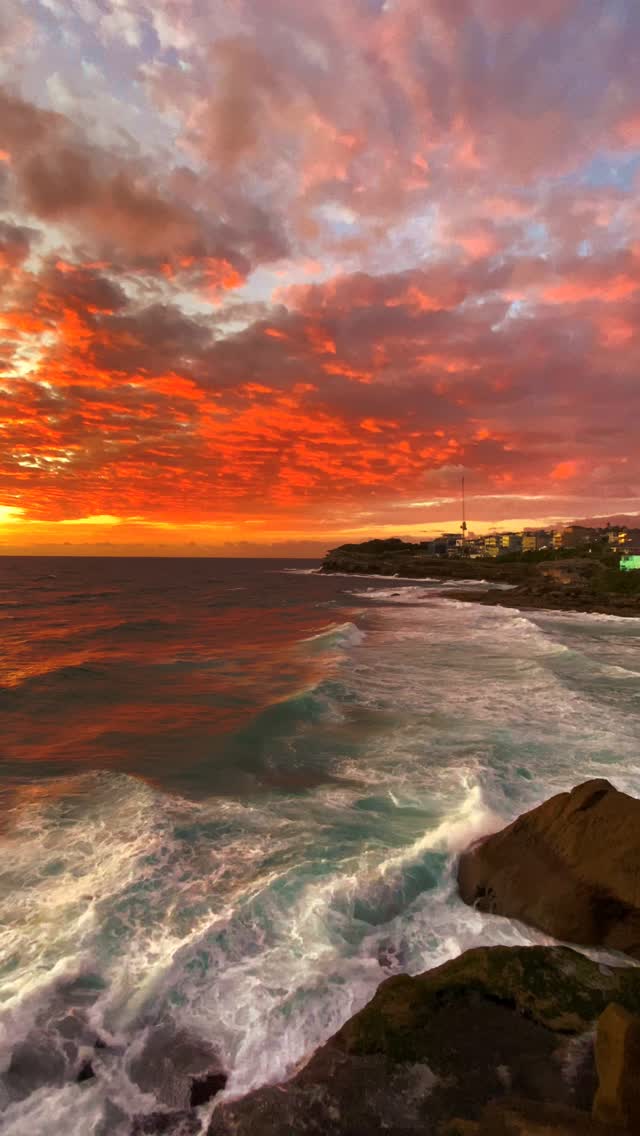 Sydney mornings at their absolute best 🔥❤️