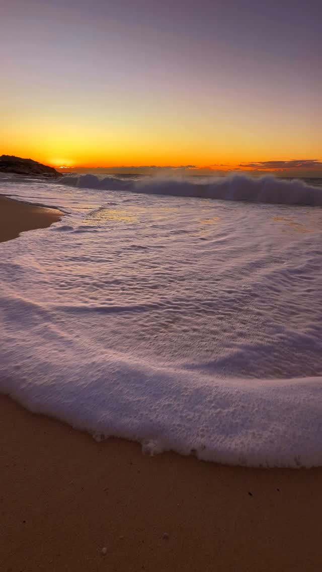 A little piece of Bronte every day 💛