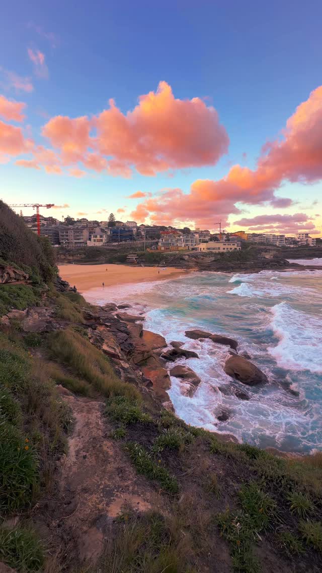 No matter how many times, Sydney sunsets never get old 🫶🏻