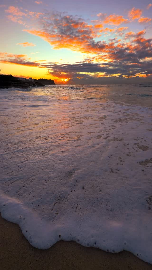 A little piece of Bronte every day 💛