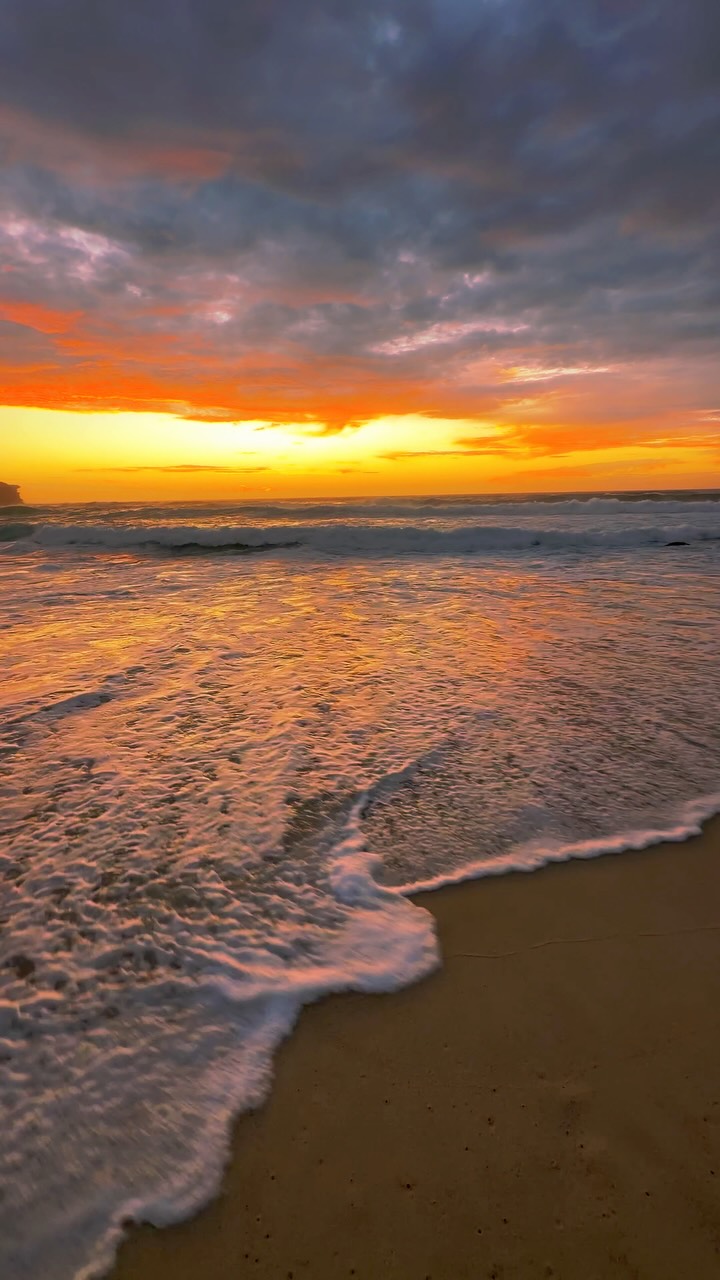A little piece of Bronte every day 💛