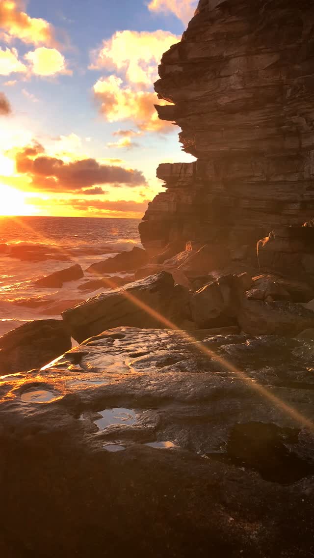Sydney mornings at their absolute best 🔥❤️