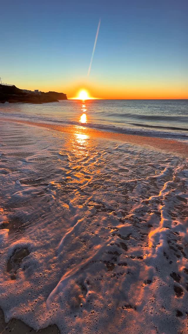 A little piece of Bronte every day 💛