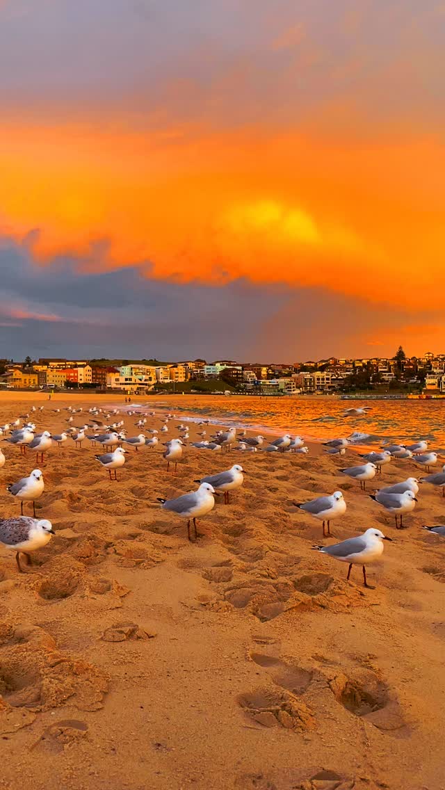 Another unreal sunset over Bondi 🙌🏼