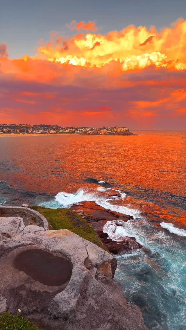 Golden hour at Bondi never gets old 💛