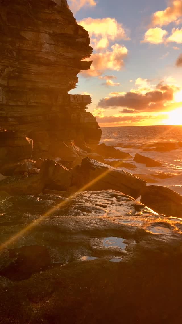 Good morning Bondi 🙌🏼💛