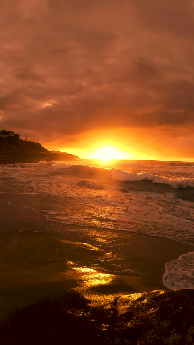A little piece of Bronte every day 💛
