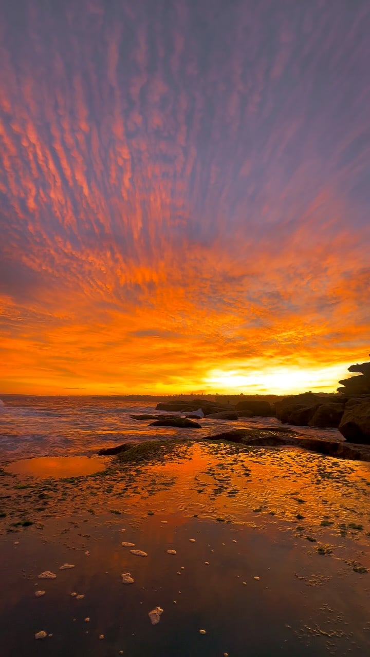 Bondi on fire 🔥