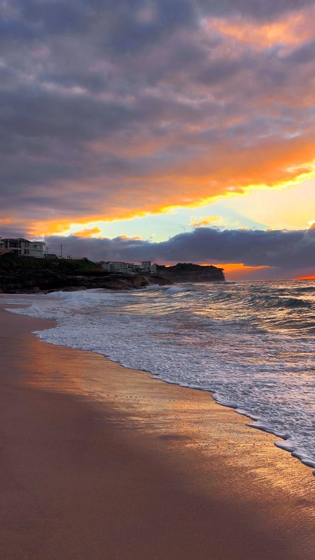 A little piece of Bronte every day 💛
