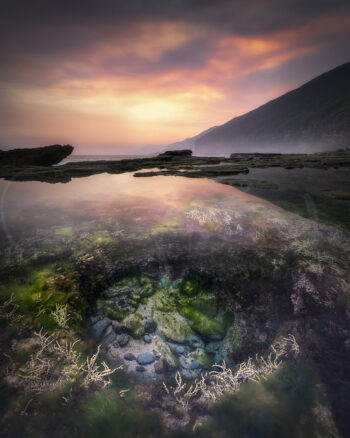 Figure Eight Pools at sunset with colourful rock pool marine life and reflected sky, Royal National Park fine art photography.