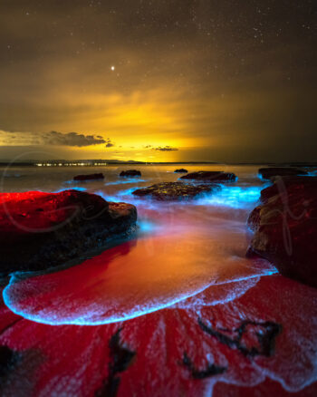 Bioluminescence glowing blue among coastal rocks at night in Jervis Bay, NSW, with stars and golden light on the horizon.